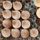 thumbnail image 1 of Adornos de bola de Navidad de terciopelo Paquete de 12 | Grandes decoraciones de árbol de vacaciones flocadas a prueba de roturas de 2.36" | Acabado mate Rojo Burdeos Tan Blanco Tierra | Elegante, 1 of 7
