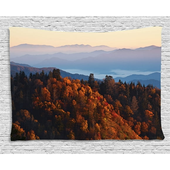 National Parks Home Decor Tapestry, Sunrise at Mountains Pine Trees Covered on Hill Mist South Carolina, Wall Hanging for Bedroom Living Room Dorm Decor, 60W X 40L Inches, Multi, by Ambesonne