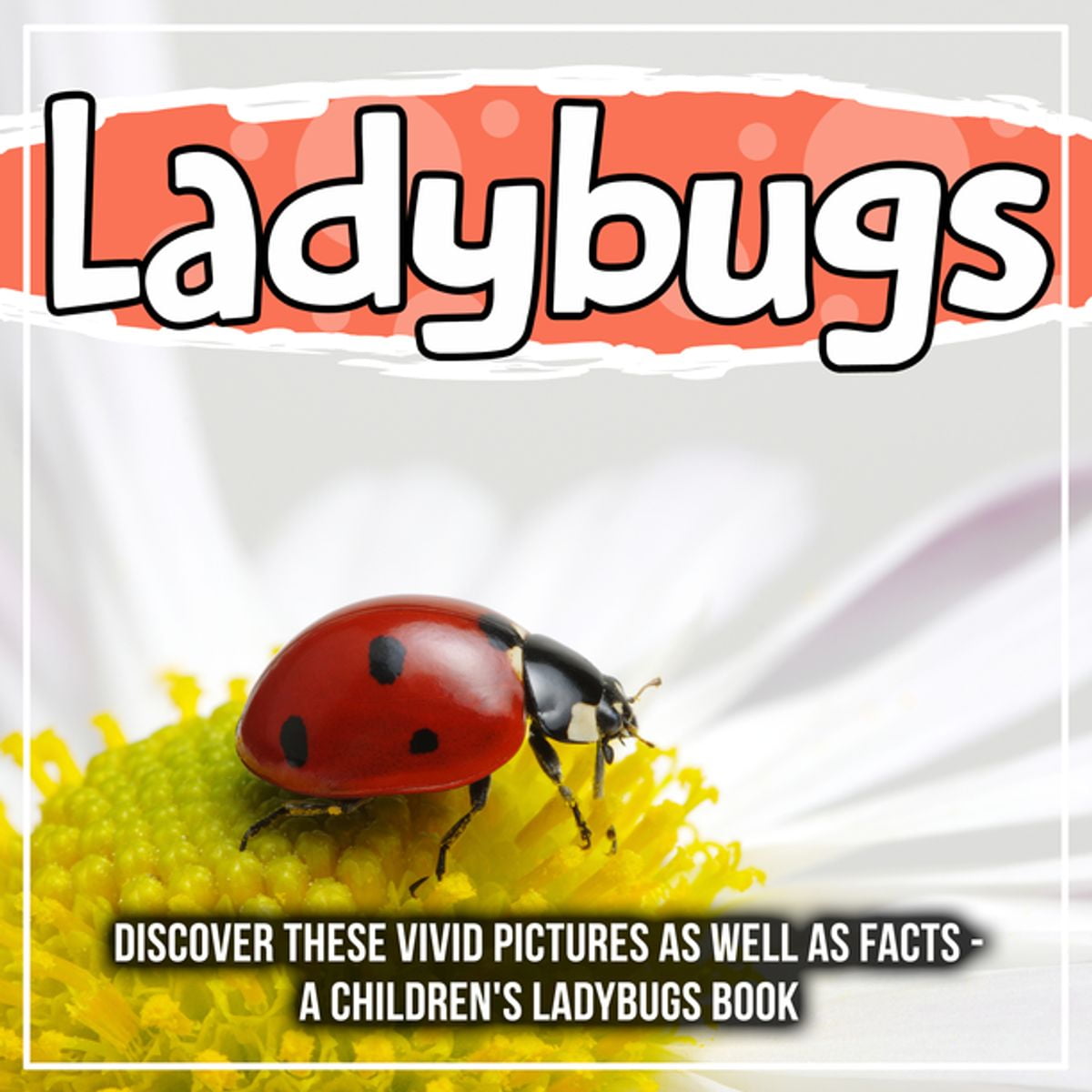 Ladybugs Discover These Vivid Pictures As Well As Facts A Children's