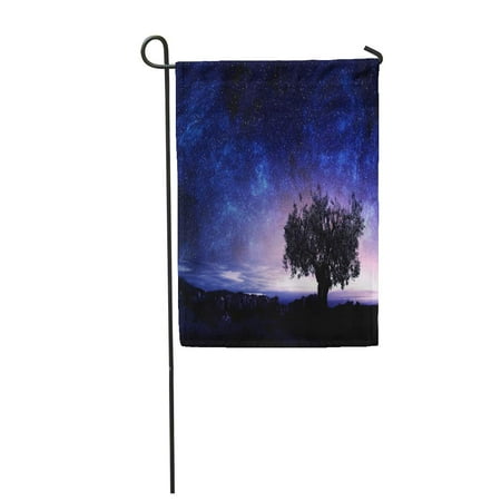 LADDKE Starry Night Picturesque View Sky Tree Abstract Air Astrology Astronomy Garden Flag Decorative Flag House Banner 28x40