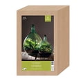 thumbnail image 2 of Esschert Design AGG49 Terrarium Bottle Planter with Tools-Large, Green, 2 of 3