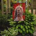 thumbnail image 2 of Carolines Treasures SC9757GF Flocons de Neige Rouges Drapeau de Vacances Taille du Jardin, 2 of 3