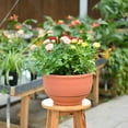 thumbnail image 4 of Weiweiguan 2pcs Chlorophytum Flowerpots Hanging Flower Pots Flower Storage Containers, 4 of 7
