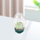 thumbnail image 4 of Maceta de vivero para plantas, transparente, transpirable, para jardín, 4 of 5
