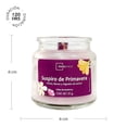 thumbnail image 2 of Vela Mainstays Suspiro de Primavera 85 g, 2 of 4