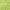 Lime, variant on SAFAVIEH Glen Solid Plush Shag Area Rug, Lime, 6' x 9'