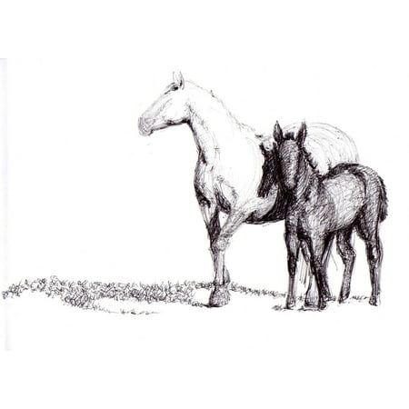 - Peel-n-Stick Poster of Horse Drawing Art Pen Artwork Poster 24x16 Adhesive Sticker Poster Print