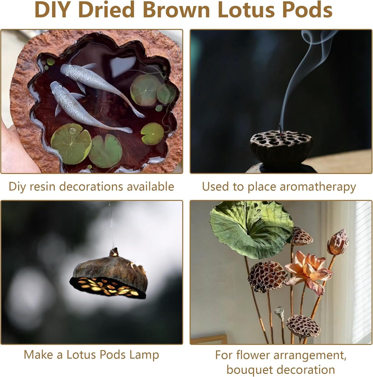 Natural Brown Dried Lotus Pods: 8 Pcs Lotus pod Heads, Mini Lotus pods no Stems for DIY Crafting Vase Decor Dried Flowers Dried Fruit Decor (8-10CM)