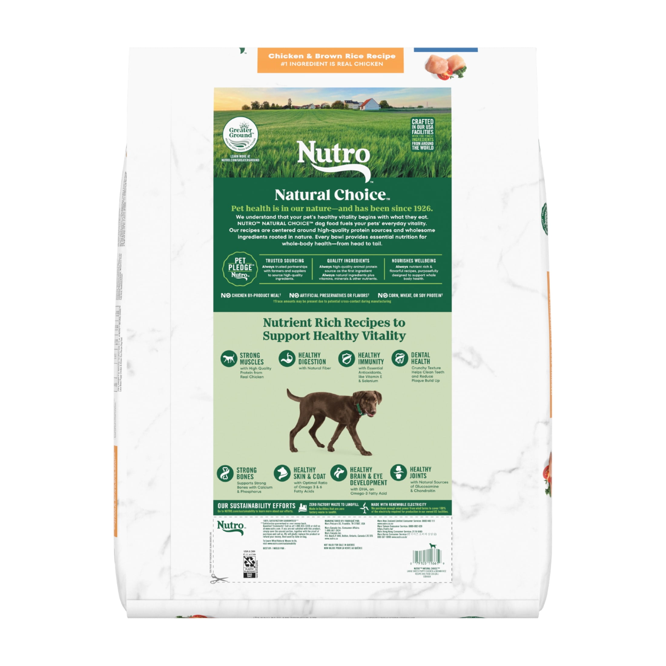 NUTRO NATURAL CHOICE Chicken & Brown Rice Dry Dog Food for Large Breed Puppies, 30 lb. Bag