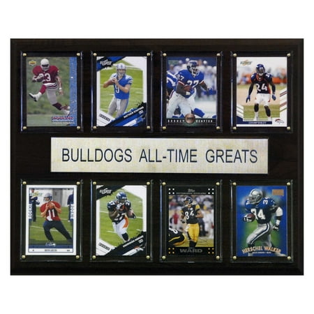 C&I Collectables NCAA Football 12x15 Georgia Bulldogs All-Time Greats