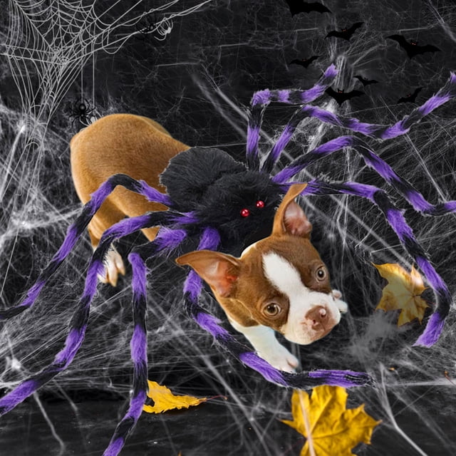 Fiudx Disfraz de Halloween para Mascota, Diseño de Araña Gigante, Ajuste Cómodo, Juego Interactivo, Diversión Festiva, Material Apto para Mascotas, Ideal para Halloween, Incluye 1 Disfraz Divertido.