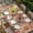 Pink, variant on Beige Christmas Table Cloths for 8 Foot Rectangle Tables, Xmas Tree Balls Snowman Gingerbread Patio Waterproof Elastic Fitted Tablecloths, Washable Rectangular Table Cover for Camping