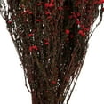 thumbnail image 2 of Vickerman 22" Natural Phylica Red bunch, Preserved, 2 of 6