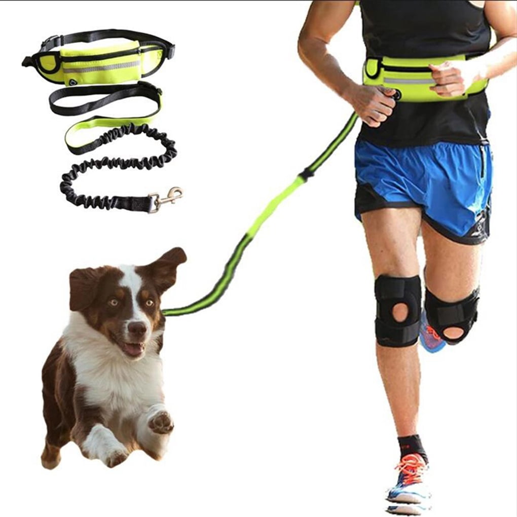 handsfree dog leash