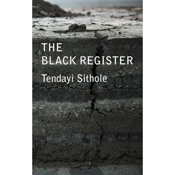 Critical South: The Black Register (Hardcover)