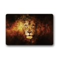 thumbnail image 1 of RYLABLUE Tapis de Sol Lion Tapis de Sol Extérieur/intérieur Taille 23.6x15.7 Pouces, 1 of 1