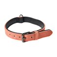 thumbnail image 1 of Pet Collar Adjustable Safety Leash CollarYOUYOU, 1 of 4