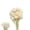 White, variant on QZS Natural Dried Globe Amaranth Flower,Orange Globe Amaranth Dried Flower Bundles,30Pack Natural Dry Floral Arrangements for Vase,Party Decor
