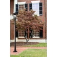 thumbnail image 3 of 3 Light Outdoor Pier Mount Light In Transitional Style-25.5 Inches Tall And 12 Inches Wide Z-Lite 568Phxlr-533Pm-Bk, 3 of 4