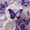 White Purple, variant on Manfei Cute Duck Red Bow Flower Twin Bedding Sets for Boys Girls, Rustic Animal Bedding Comforter Set, Pink Reversible, 7 Pieces