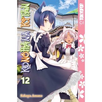 Hatsu*Haru: Hatsu*Haru, Vol. 8 (Series #8) (Paperback) - Walmart.com