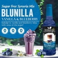 thumbnail image 2 of Syruvia BLUNILLA Sugar Free Coffee Syrup 25.4 Fl. Oz With Pump, 2 of 7