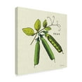 thumbnail image 2 of Trademark Fine Art 'Linen Vegetable IV v2' Canvas Art by Studio Mousseau, 2 of 3