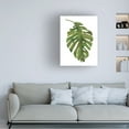 thumbnail image 2 of Trademark Fine Art 'Tropical Palm Paint' Canvas Art by Wild Apple Portfolio, 2 of 4