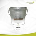 thumbnail image 3 of Galvanized Ribbed Bucket Planter - 10", 3 of 5