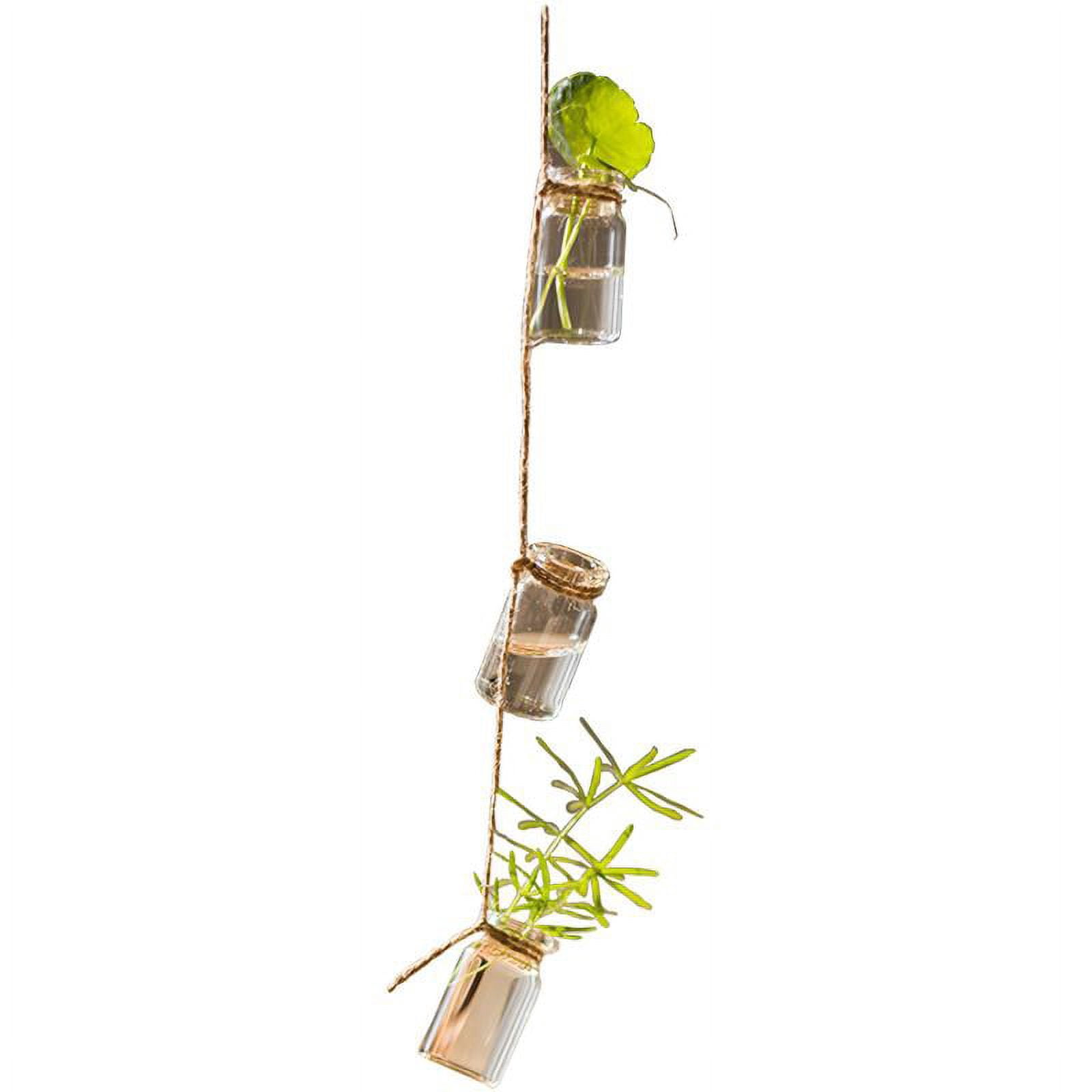 Rustic Reach Glass Planter Rope Hanging 1.5" Bottle Hanging Planter with 55" Long String (Set of 3)