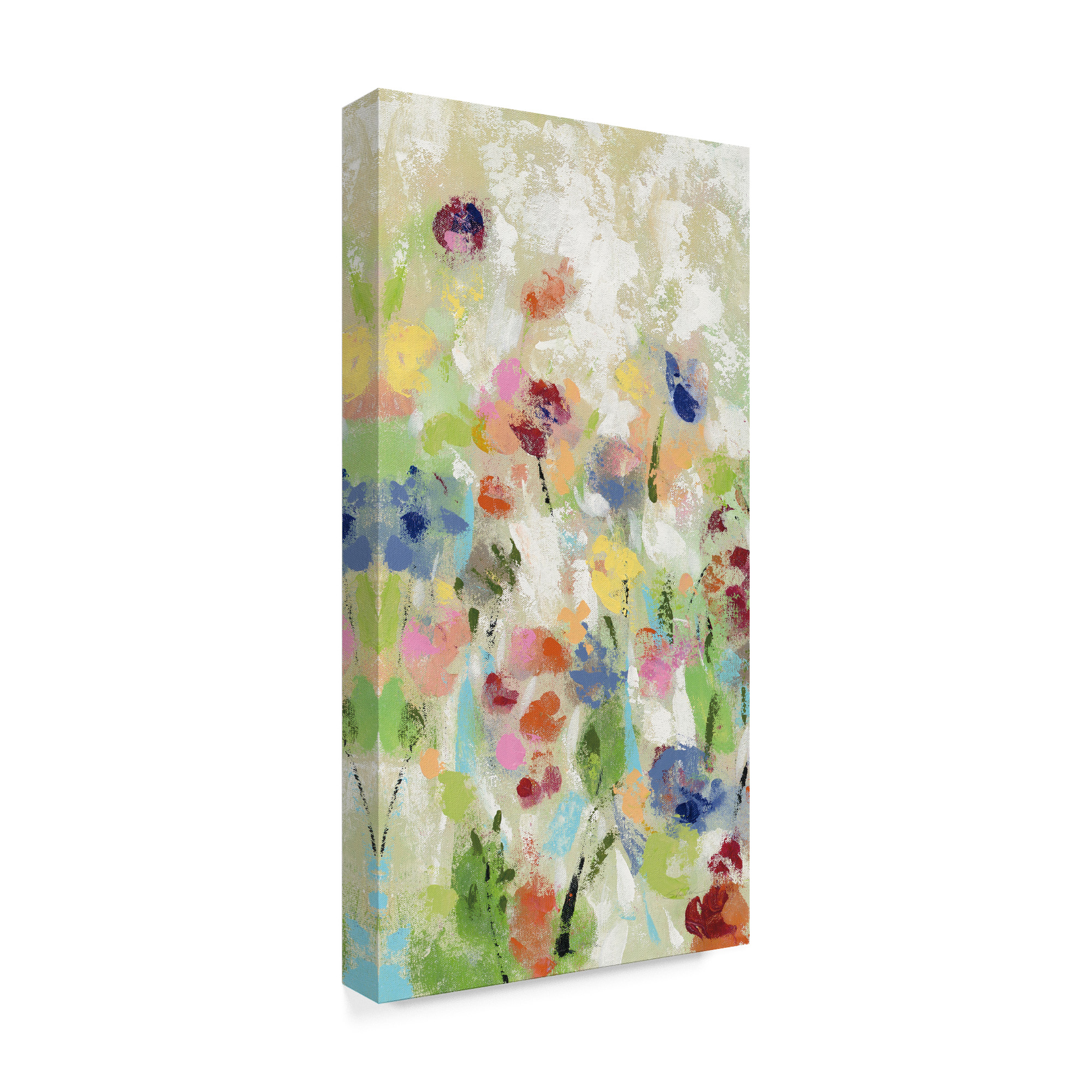 Trademark Fine Art 'Springtime Meadow Flowers II' Canvas Art by Silvia Vassileva