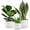White, variant on WHOMEPAA Ceramic Plant Pots,Modern Indoor Planters with Drainage Holes and Saucers,Garden Pots 4.3/5.3/6.7 inchs Set of 4,Flower Pot with Hole Mesh Pad for House Outdoor Indoor Plants and Flowers