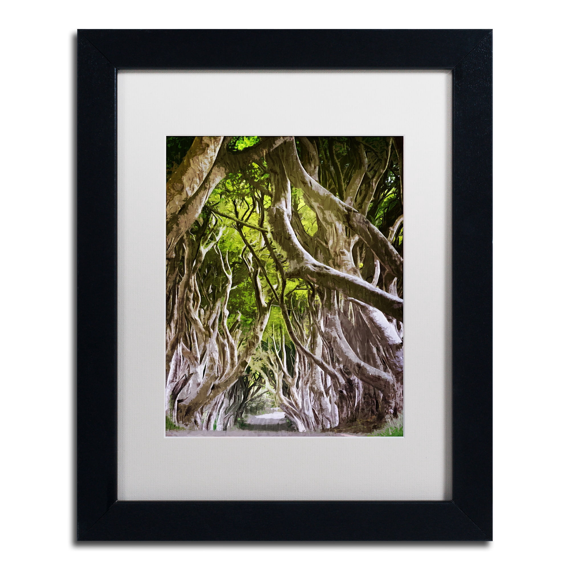 Trademark Fine Art "King of the Woods" Canvas Art by Philippe Sainte-Laudy, White Matte, Black Frame