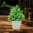 thumbnail image 5 of Artificial Green Potted -7.87" Tall PE Plastic Fake for Home Decor Indoor Tabletop Decoration Realistic Faux for Living Room TV Cabinet & Office, 5 of 6