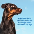 thumbnail image 4 of ADAMS Plus with Botanicals Flea & Tick Shampoo for Dogs & Puppies, Flea Shampoo to Treat Flea Infestations, Soothes Dry Skin & Conditions Coat, Kills Adult Fleas, Flea Eggs, Ticks and Lice, 12 fl oz, 4 of 10