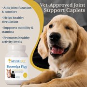 Ayush Pet Boswelya Plus Joint Supplement for Dogs and Cats with Glucosamine and Bromelain, 90 Caplets