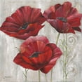 thumbnail image 3 of Withaar, Rian 12x12 Black Modern Framed Museum Art Print Titled - THREE POPPIES II, 3 of 5