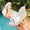 Beige, variant on Women's Polka Dot Bow Clear Strap Wedge Espadrille Slide Sandals,Round Toe Open Toe Slip-On Platform Mules Black 5.5