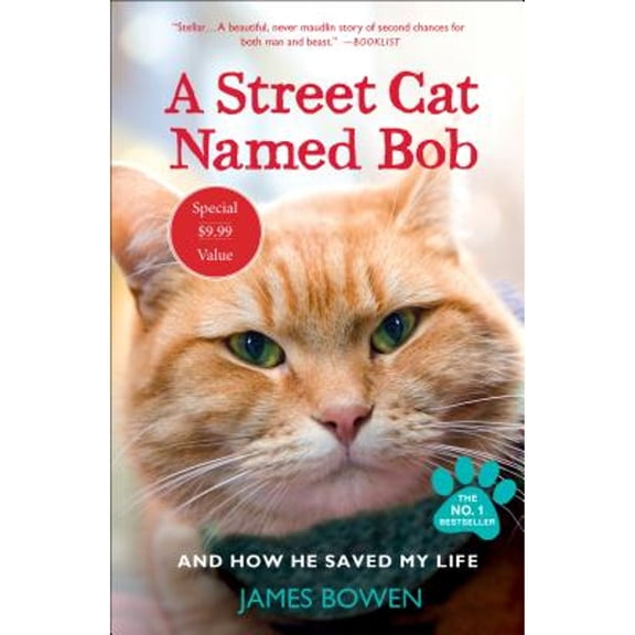 Pre-Owned A Street Cat Named Bob: And How He Saved My Life (Paperback) 1250217385 9781250217387