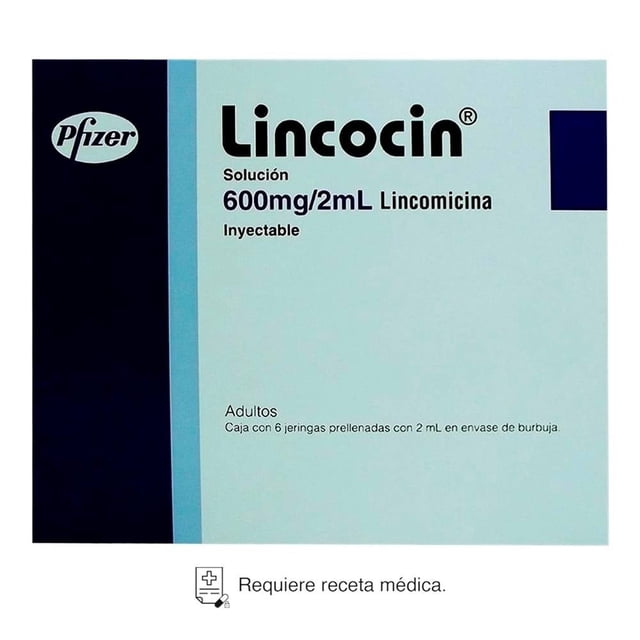 Lincocin Lincomicina 600 mg/2 ml solución inyectable 6 jeringas