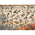 thumbnail image 6 of Cobble Hill 1,000 piece puzzle - Ducks of North - reference poster included, 6 of 8