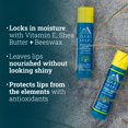 thumbnail image 3 of Bálsamo labial y protector solar SPF 18 Oars + Alps Shine Free, paquete de 3, 3 of 5