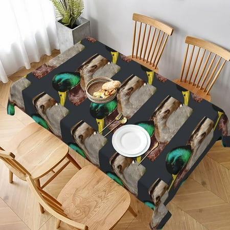 

Tablecloth Wild Donkey Table Cloth For Rectangle Tables Waterproof Resistant Picnic Table Covers For Kitchen Dining/Party(60x90in)