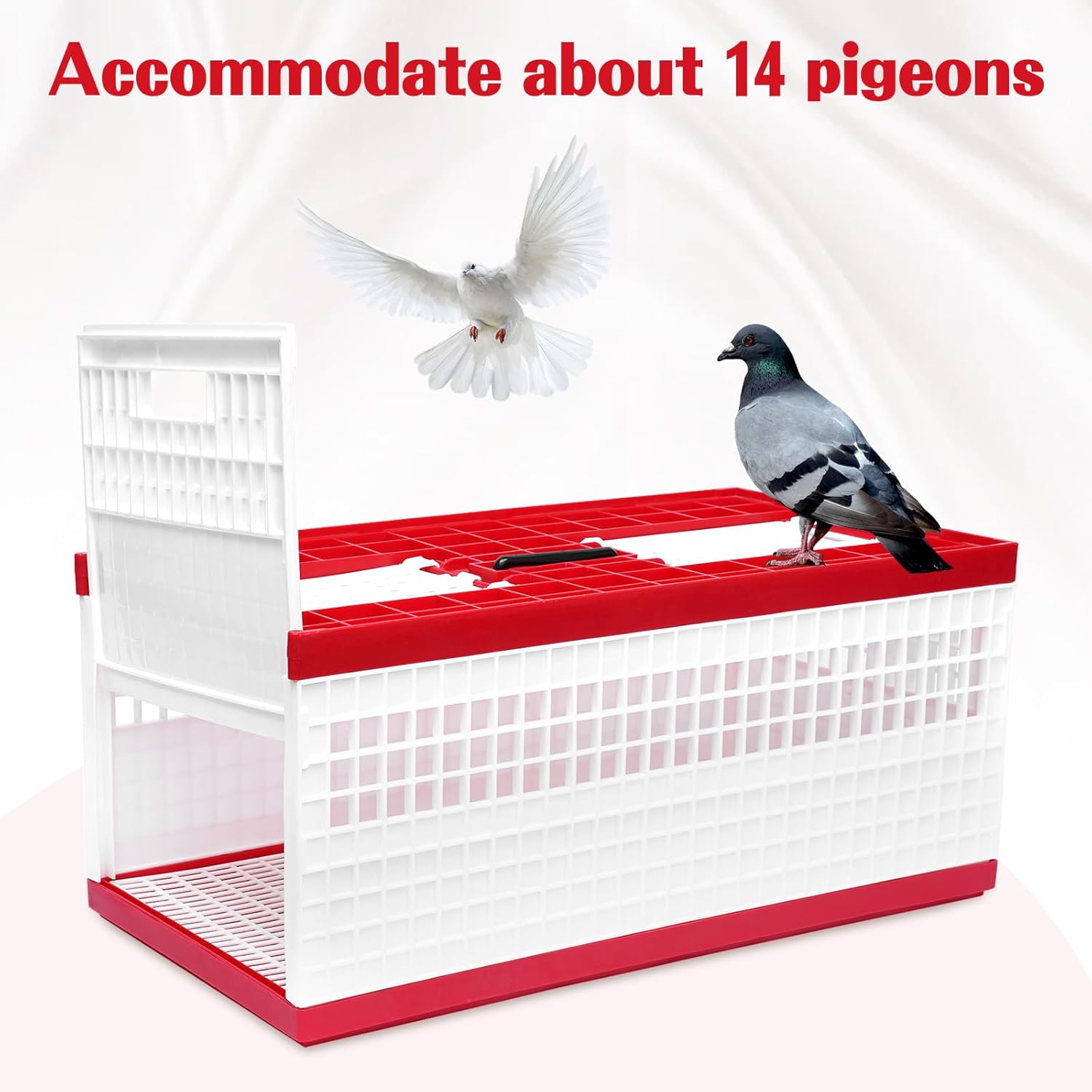 Racing Pigeon Carrier Box, Bird Training Basket Folding Pigeon Training Release Cage with 2 Side Doors + 2 Top Department