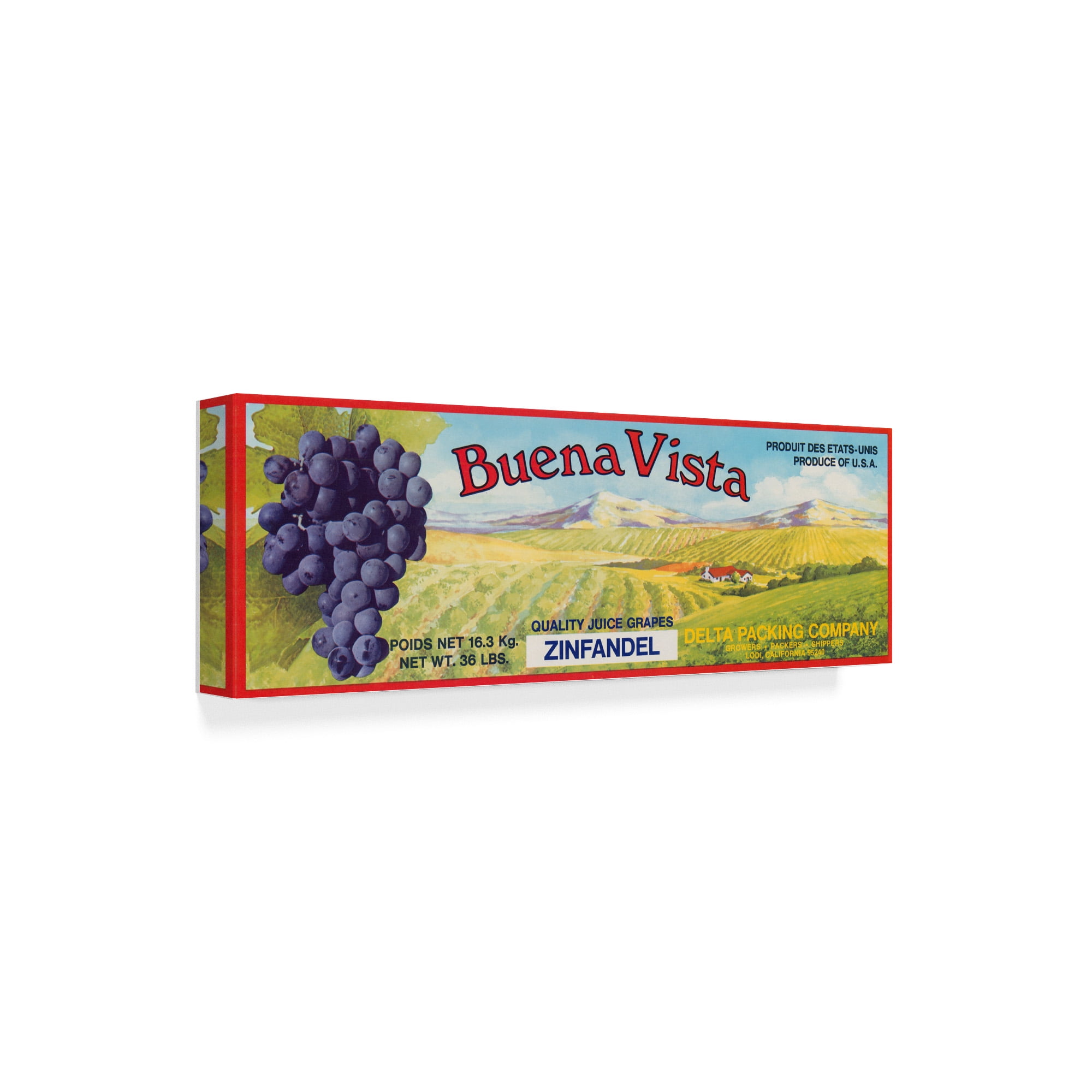 Trademark Fine Art 'Vintage Wine Label I' Canvas Art by Vision Studio
