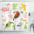 thumbnail image 1 of Birds Shower Curtain, Tropical Themed Exotic Birds Alluring Keel-Billed Toucan Pinky Flamingo and Pelican, Fabric Bathroom Set with Hooks, 69W X 70L Inches, Multicolor, by Ambesonne, 1 of 3