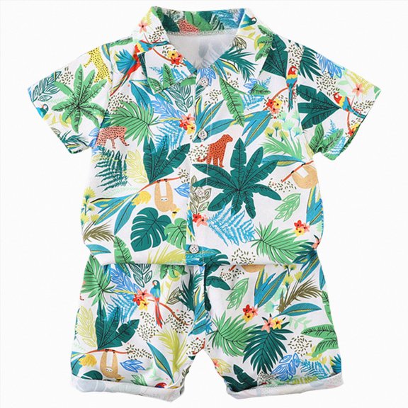 Baby Boy Outfit Clothes Summer Button Printed Short Sleeve Sports 18-24 Months 2t 3t 4t 5t 6t T-shirt with Elastic Waist Shorts T Shirts Tops Outfits Set 2-Piece