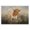 Longhorn Cattle Grazing, variant on Stupell Industries Southwestern Longhorn Cattle Grazing Scenic Countryside Landscape Black Framed Giclee Art, 14 x 11, by Marcus Prime