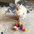 thumbnail image 5 of Juguete para gatos con bolas de fieltro de 8 piezas, respetuoso con el medio ambiente y seguro, pelota para gatos para uso en interiores y exteriores, color rosa rojo, 5 of 5