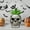 A, variant on HOARBOEG Skull Succulent Planter Pot, Resin Halloween Decorative Flower Pot for Home and Office Desktop, Unique Gothic Style Plant Pot for Succulents, Small Cactus Decor